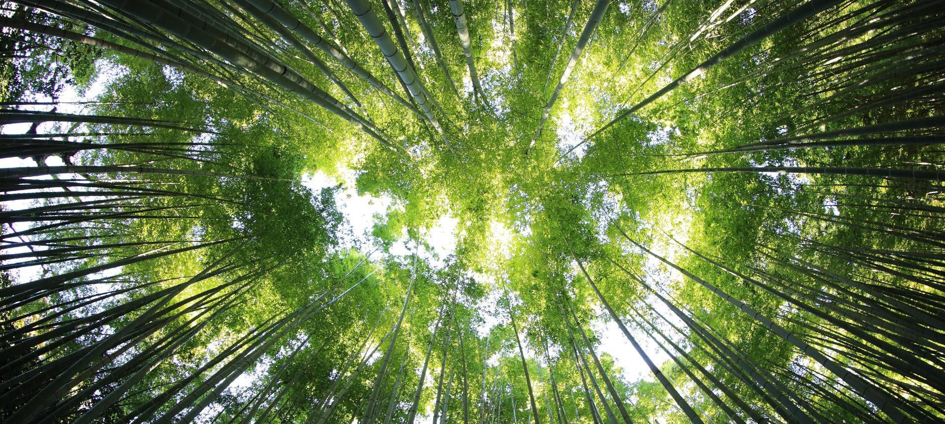 12 jednoduchých krokov k emocionálnemu zdraviu